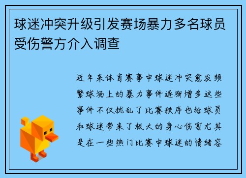 球迷冲突升级引发赛场暴力多名球员受伤警方介入调查